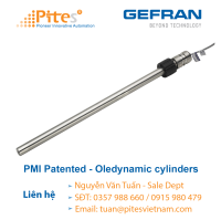 pmi-patented-oledynamic-cylinders-cam-bien-vi-tri-gefran-viet-nam.png