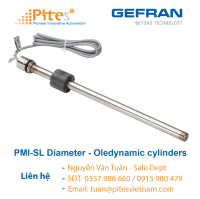 pmi-sl-diameter-12-7mm-oledynamic-cylinders-cam-bien-vi-tri-gefran-viet-nam.png