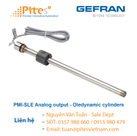 pmi-sle-analog-output-oledynamic-cylinders-cam-bien-vi-tri-gefran.png